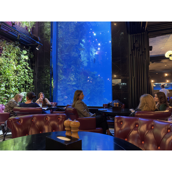 Picture Ukraine Lviv Restaurants 2024-10 140 - Center Restaurants