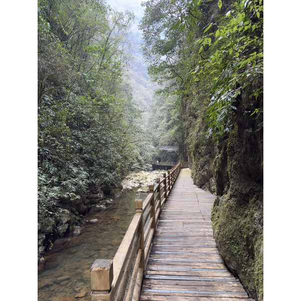 Picture China Zhangjiajie Grand Canion 2026-01 18 - History Grand Canion
