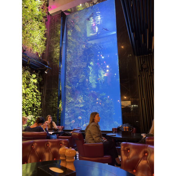 Picture Ukraine Lviv Restaurants 2024-10 81 - Discovery Restaurants