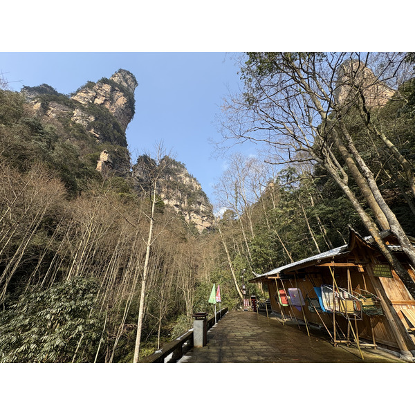 Picture China Zhangjiajie Tianzi Mountrain 2026-01 114 - Tours Tianzi Mountrain