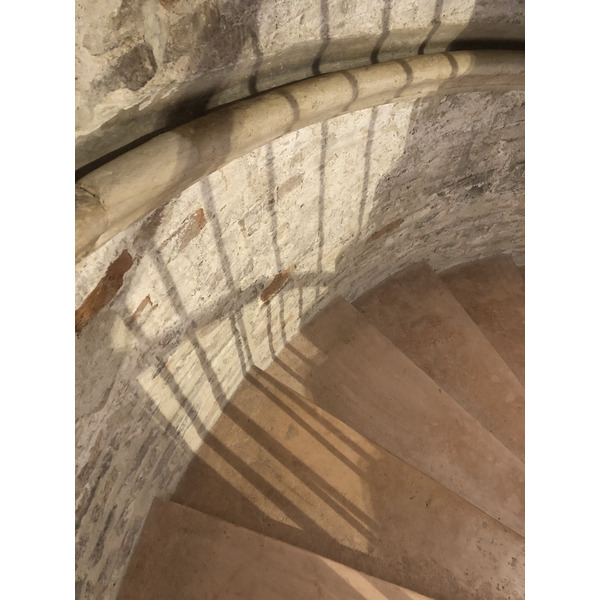 Picture Italy Urbino 2024-09 290 - Discovery Urbino