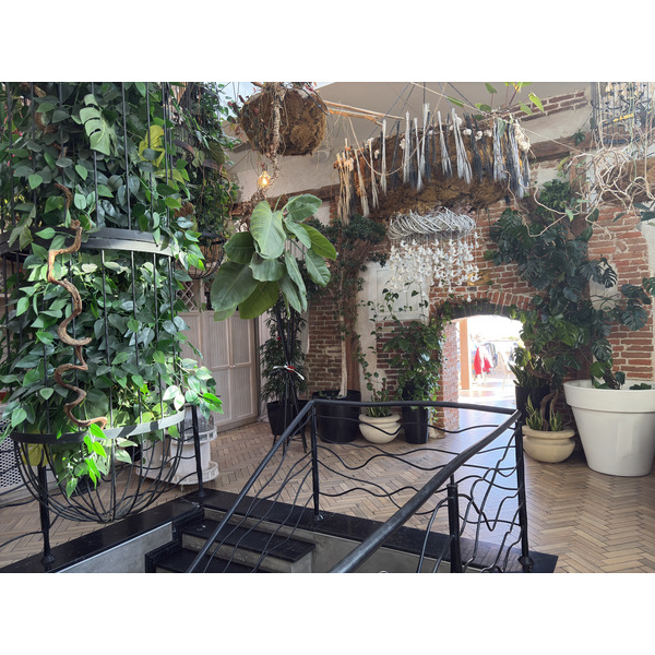 Picture Ukraine Lviv Restaurants 2024-10 123 - History Restaurants