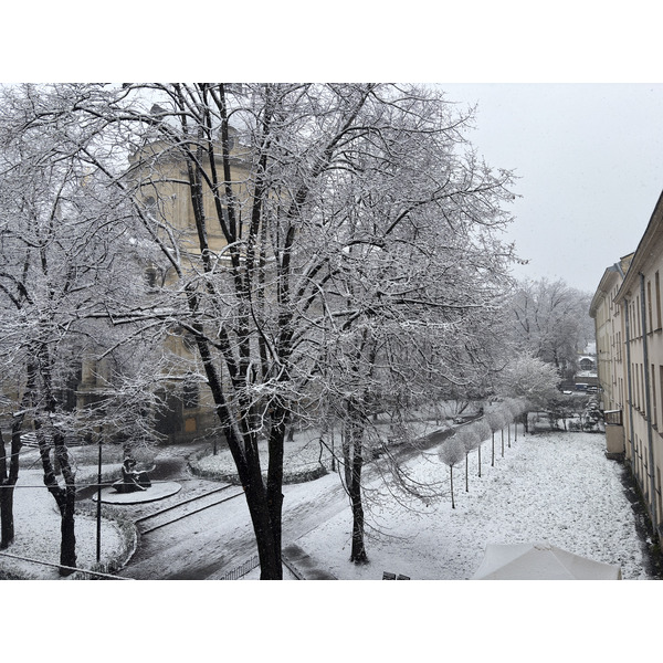 Picture Ukraine Lviv 2025-04 135 - Discovery Lviv