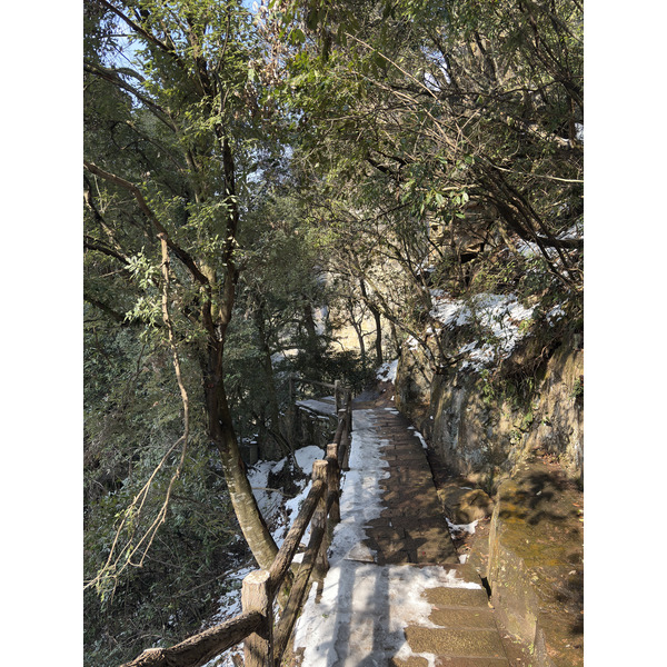 Picture China Zhangjiajie Tianzi Mountrain 2026-01 119 - Discovery Tianzi Mountrain
