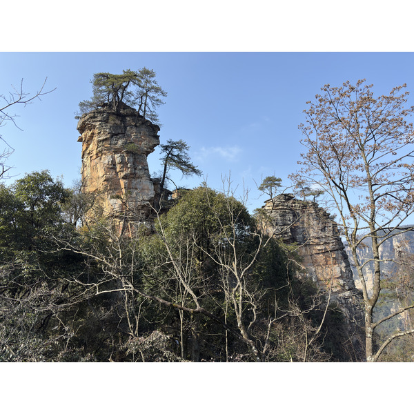 Picture China Zhangjiajie Tianzi Mountrain 2026-01 309 - Tour Tianzi Mountrain