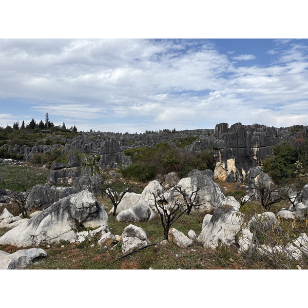 Picture China Shilin Stone Forest 2026-01 330 - Tours Shilin Stone Forest