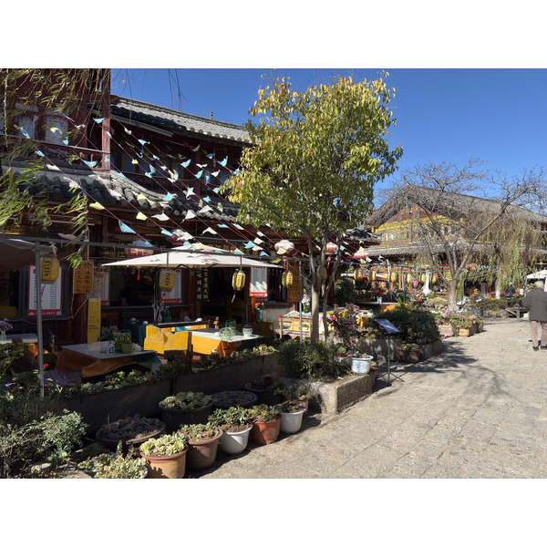 Picture China Lijiang 2026-01 506 - History Lijiang
