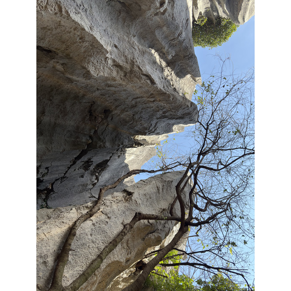 Picture China Shilin Stone Forest 2026-01 306 - Tour Shilin Stone Forest
