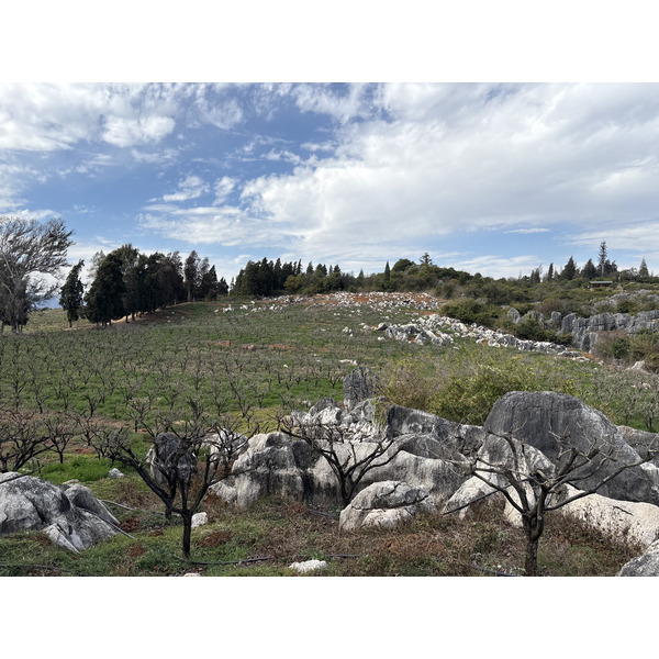 Picture China Shilin Stone Forest 2026-01 174 - Recreation Shilin Stone Forest