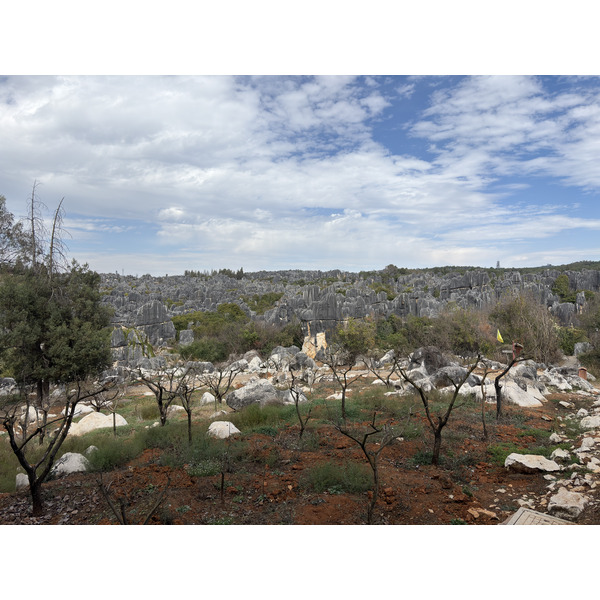 Picture China Shilin Stone Forest 2026-01 197 - History Shilin Stone Forest