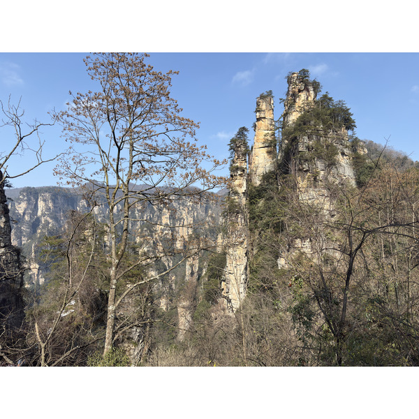 Picture China Zhangjiajie Tianzi Mountrain 2026-01 242 - Discovery Tianzi Mountrain