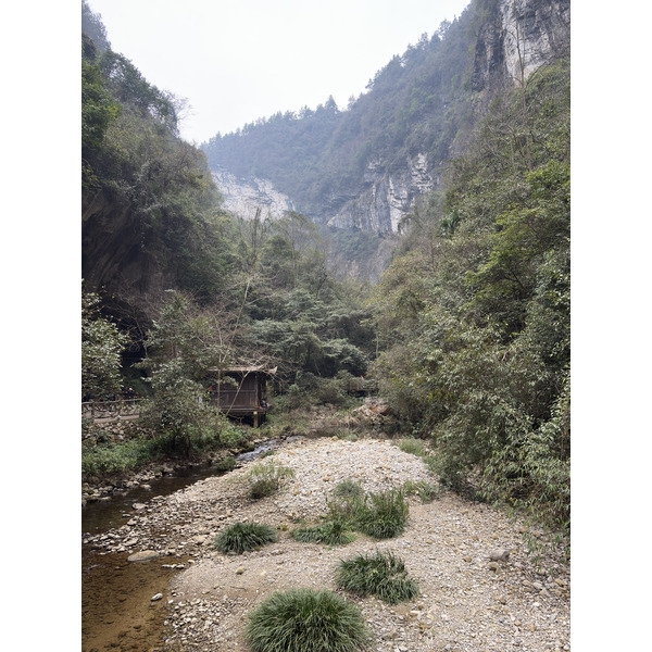 Picture China Zhangjiajie Grand Canion 2026-01 26 - Center Grand Canion
