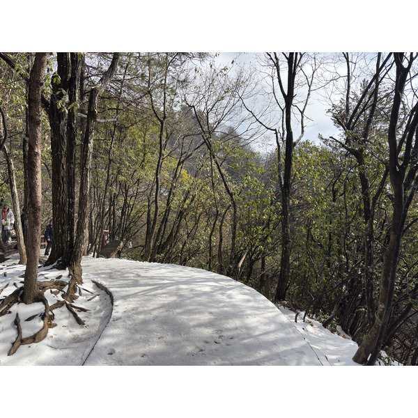 Picture China Zhangjiajie Tianzi Mountrain 2026-01 126 - Journey Tianzi Mountrain
