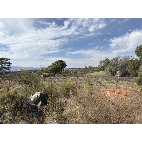 Picture China Shilin Stone Forest 2026-01 146 - Tours Shilin Stone Forest