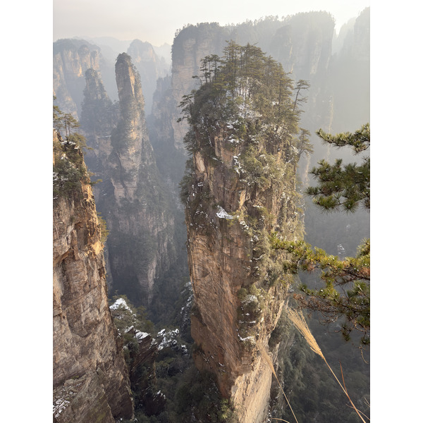 Picture China Zhangjiajie 2026-01 19 - Journey Zhangjiajie