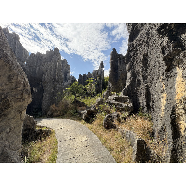 Picture China Shilin Stone Forest 2026-01 64 - Tours Shilin Stone Forest