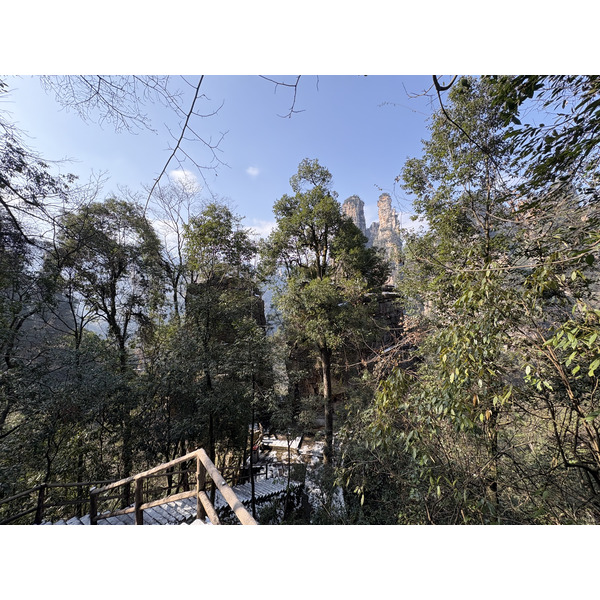 Picture China Zhangjiajie Tianzi Mountrain 2026-01 312 - Journey Tianzi Mountrain