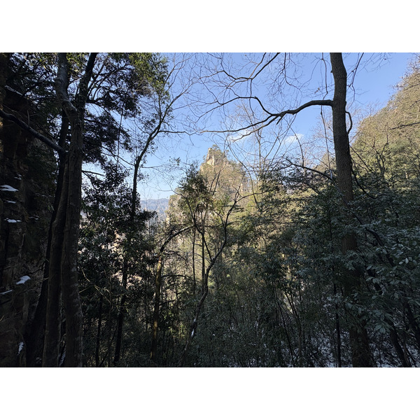 Picture China Zhangjiajie Tianzi Mountrain 2026-01 94 - Tour Tianzi Mountrain