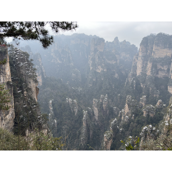 Picture China Zhangjiajie 2026-01 79 - Tours Zhangjiajie