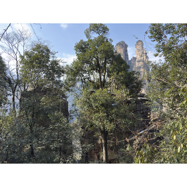 Picture China Zhangjiajie Tianzi Mountrain 2026-01 120 - Tours Tianzi Mountrain