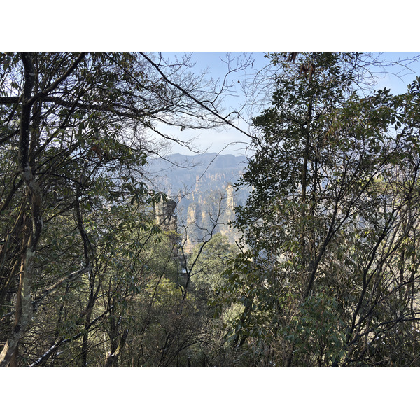 Picture China Zhangjiajie Tianzi Mountrain 2026-01 328 - Tours Tianzi Mountrain