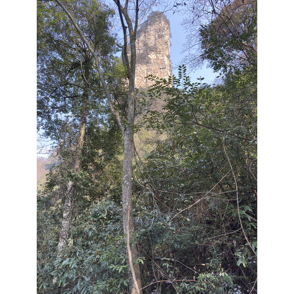 Picture China Zhangjiajie Tianzi Mountrain 2026-01 156 - Journey Tianzi Mountrain