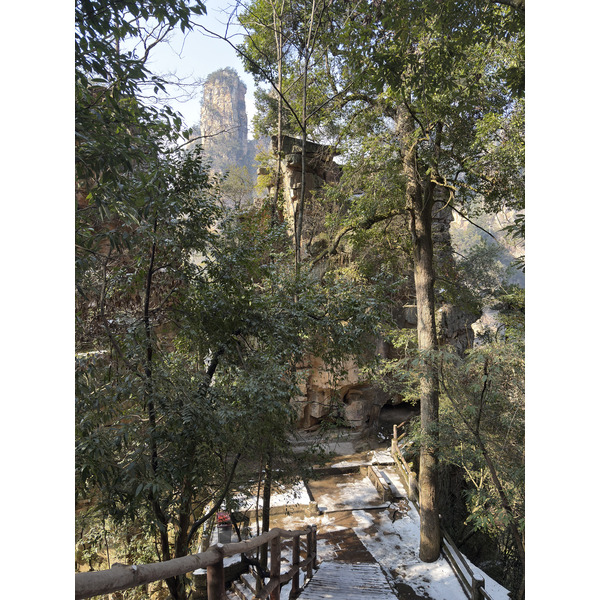 Picture China Zhangjiajie Tianzi Mountrain 2026-01 41 - Center Tianzi Mountrain