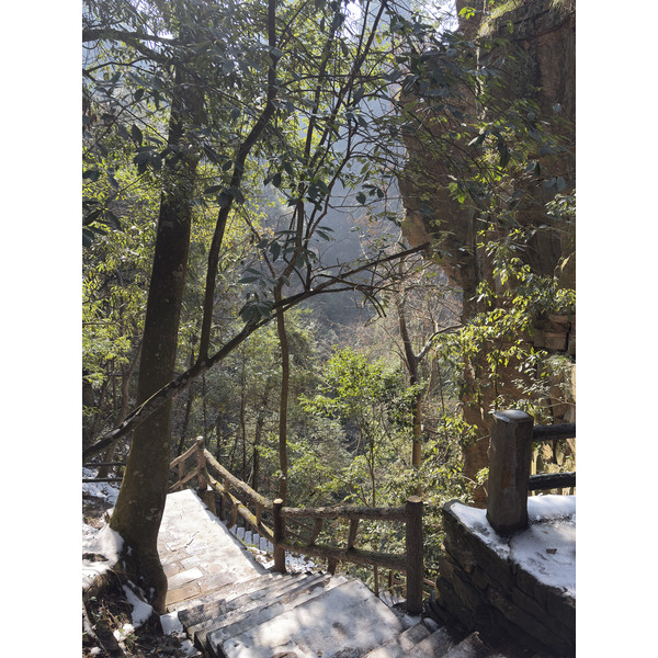 Picture China Zhangjiajie Tianzi Mountrain 2026-01 73 - Recreation Tianzi Mountrain