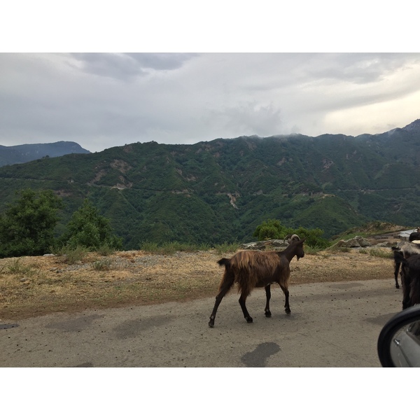 Picture France Corsica Valle d'alesani 2017-07 9