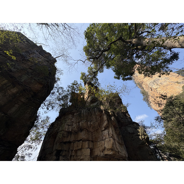 Picture China Zhangjiajie Tianzi Mountrain 2026-01 12 - Journey Tianzi Mountrain