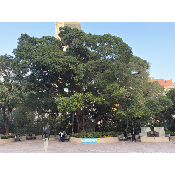 Picture Hong-Kong Tsim Sha Tsui 2026-01 3 - Tours Tsim Sha Tsui
