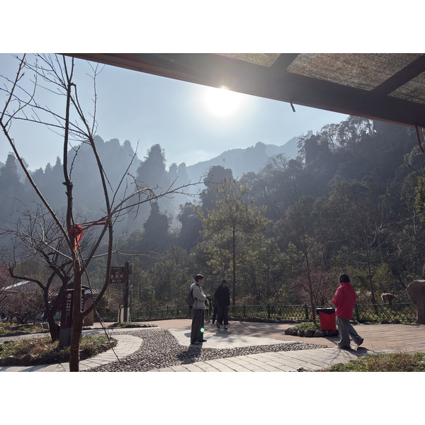 Picture China Zhangjiajie Tianzi Mountrain 2026-01 122 - Tours Tianzi Mountrain