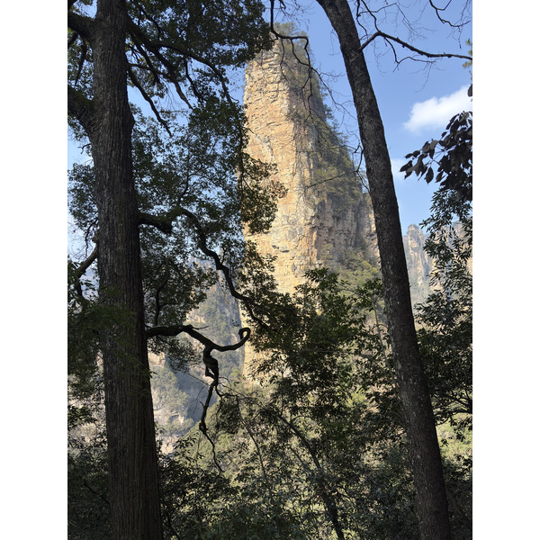 Picture China Zhangjiajie Tianzi Mountrain 2026-01 9 - Journey Tianzi Mountrain
