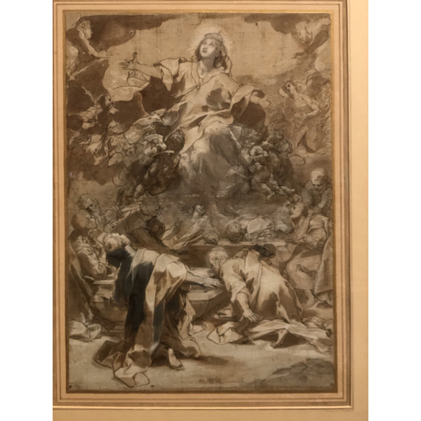 Picture Italy Urbino 2024-09 296 - History Urbino