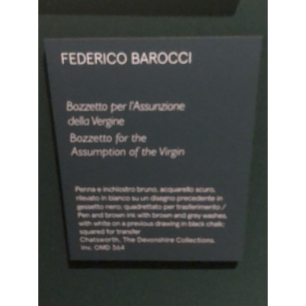 Picture Italy Urbino 2024-09 375 - Tour Urbino