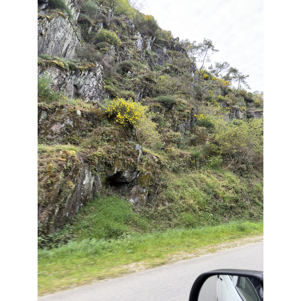 Picture France Rochefort en terre 2026-04 71