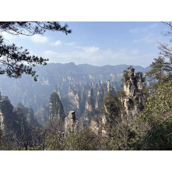 Picture China Zhangjiajie Tianzi Mountrain 2026-01 74 - Center Tianzi Mountrain