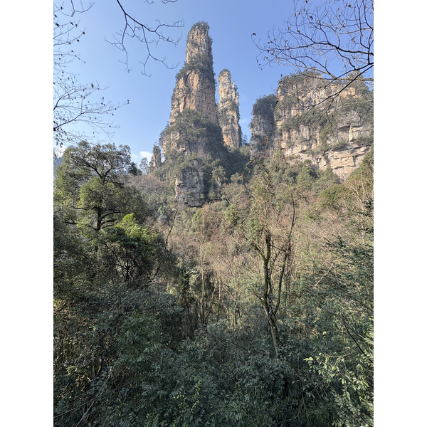 Picture China Zhangjiajie Tianzi Mountrain 2026-01 254 - History Tianzi Mountrain