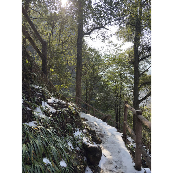 Picture China Zhangjiajie Tianzi Mountrain 2026-01 205 - Discovery Tianzi Mountrain