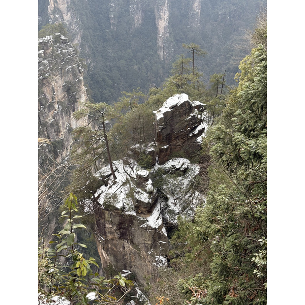 Picture China Zhangjiajie 2026-01 84 - Tours Zhangjiajie