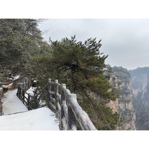 Picture China Zhangjiajie 2026-01 96 - Center Zhangjiajie