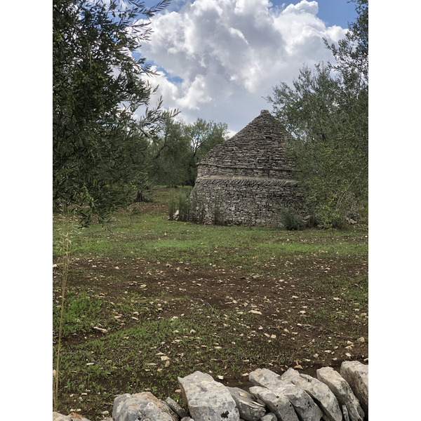 Picture Italy Castel del monte 2024-09 99 - Tours Castel del monte