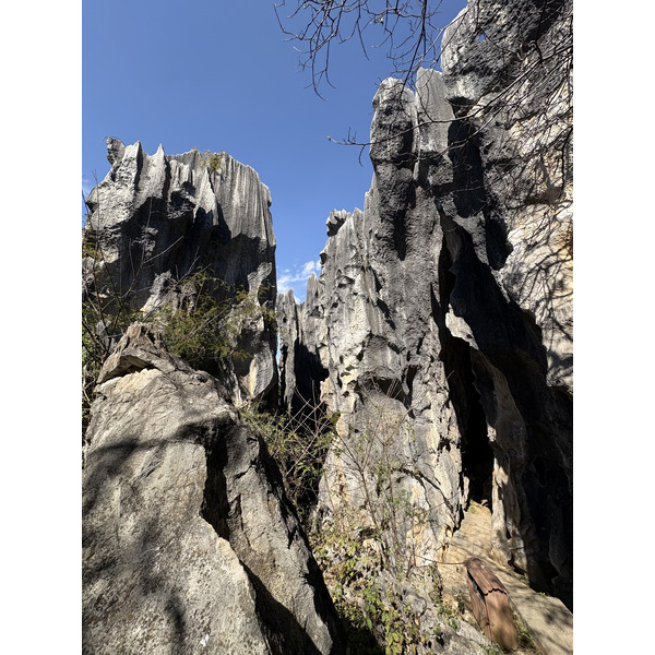 Picture China Shilin Stone Forest 2026-01 185 - Center Shilin Stone Forest