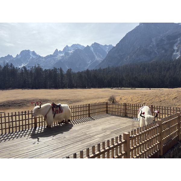 Picture China Lijiang Blue moon valley 2026-01 61 - Discovery Blue moon valley