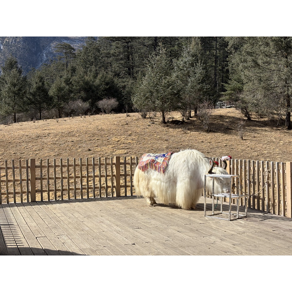 Picture China Lijiang Blue moon valley 2026-01 46 - Recreation Blue moon valley