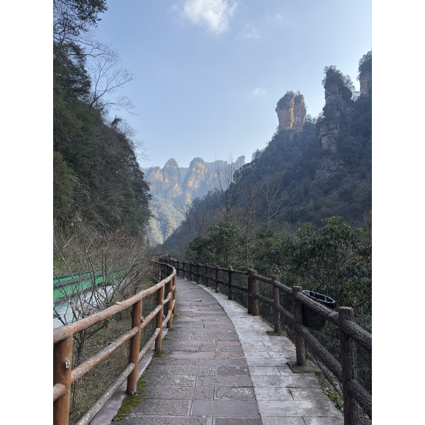 Picture China Zhangjiajie Tianzi Mountrain 2026-01 177 - Journey Tianzi Mountrain
