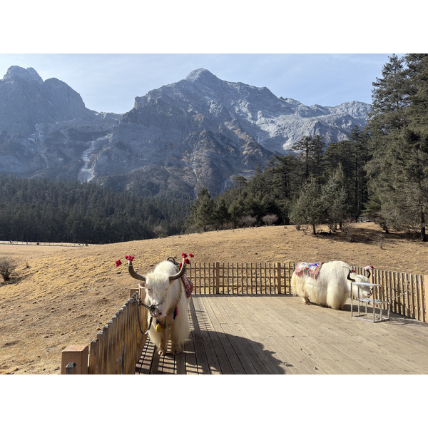 Picture China Lijiang Blue moon valley 2026-01 93 - Center Blue moon valley