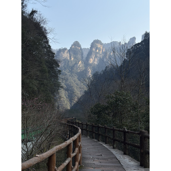 Picture China Zhangjiajie Tianzi Mountrain 2026-01 151 - Around Tianzi Mountrain