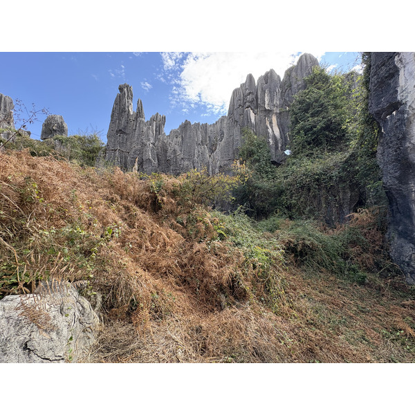 Picture China Shilin Stone Forest 2026-01 240 - Around Shilin Stone Forest