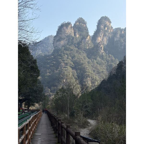 Picture China Zhangjiajie Tianzi Mountrain 2026-01 96 - Tour Tianzi Mountrain